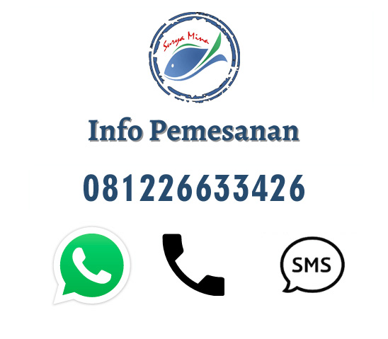 info-pemesanan